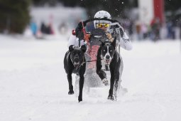 Lenzerheide 2013